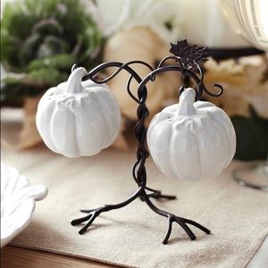 Pier 1 Pumpkin Salt Pepper Shakers Hanging Vine Stand Fall Autumn Thanksgiving